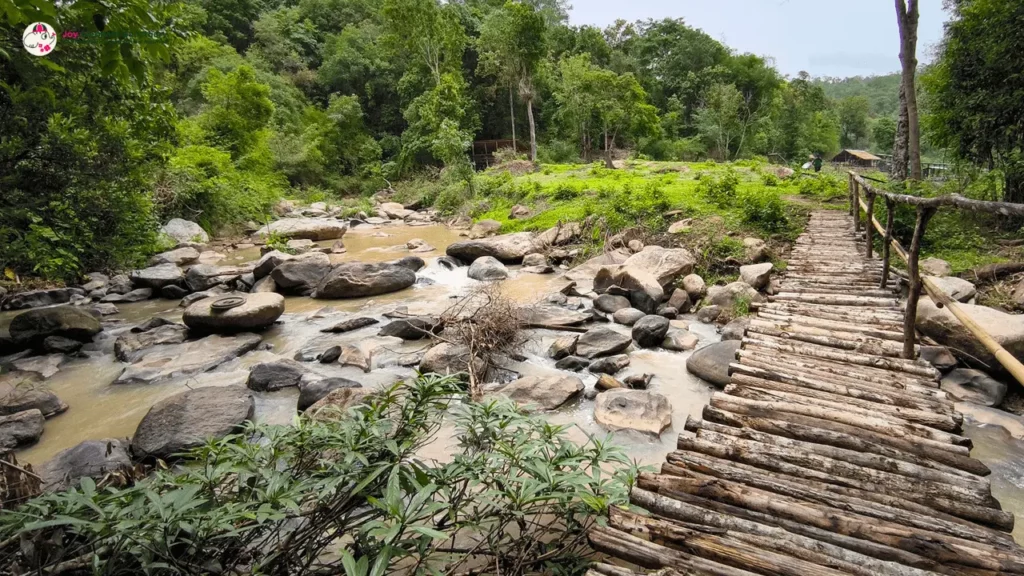 river at joy elephant sanctuary